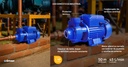 Bomba Periferica para Agua 1HP GRIVEN