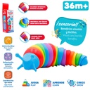 Juguete Oruga Flexible GENIAL Sensory
