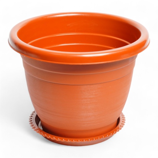 [DHTS-238] Macetero Plastico 23 X 17cm